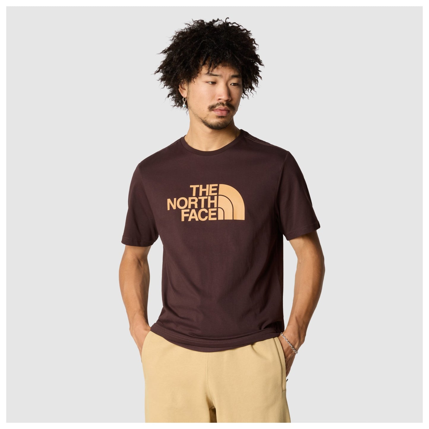 THE NORTH FACE EASY S/S TEE-BROWN